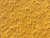 Arabian Yellow