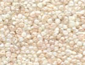 Cream 7700