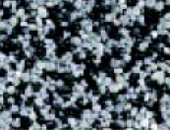 Grey 7710