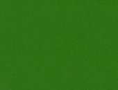 Forest Green 754