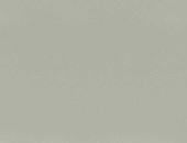 Goosewing Grey 222