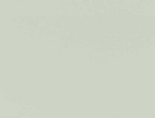 Light Grey 232